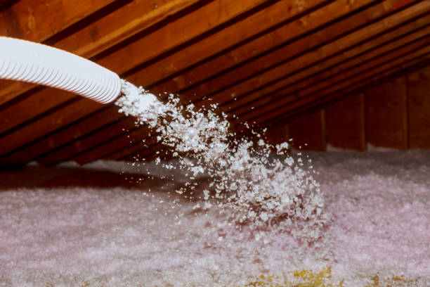 Best Spray Foam Insulation in Arcola, VA