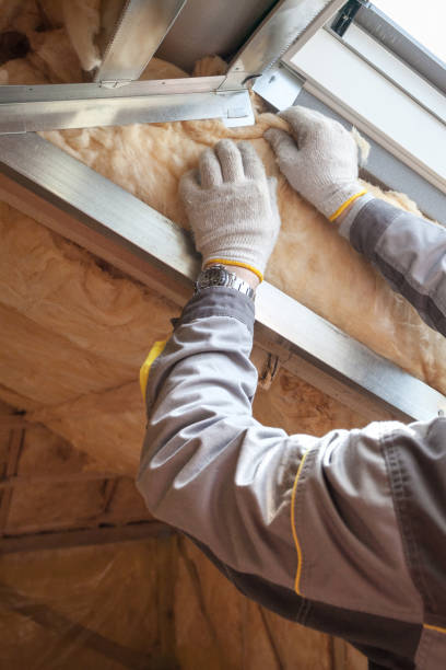 Best Geographic-Specific Insulation Services in Arcola, VA