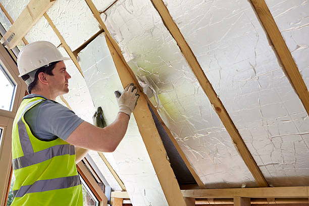Best Insulation Maintenance and Repair in Arcola, VA