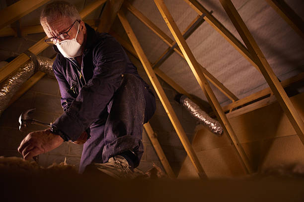 Best Specialized Insulation Services in Arcola, VA